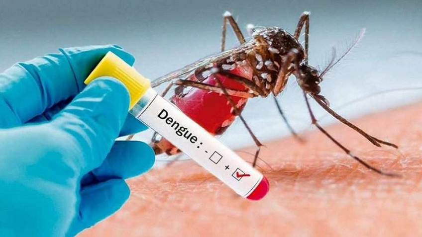 Dengue en verano: por qué aumentan los casos y cómo podemos cuidarnos